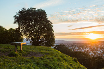 Obraz premium ニュージーランド オークランドのビッグ・キング保護区からの街並みと夕日