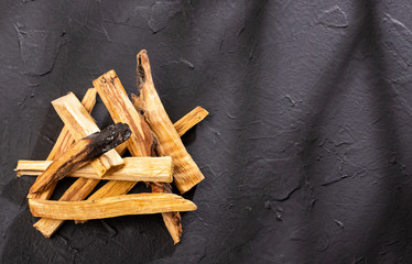 Bursera graveolens - Sacred tree of palo santo