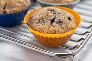 Close up of a blueberry muffin, in a colored silicone cake mold