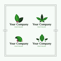 leaf logo for herbal company or medicine set