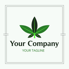 leaf logo for herbal company or medicine set
