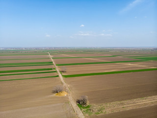 Aerial view from drone of agriculture fields ready for seeding