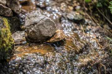 cirque de saint meme