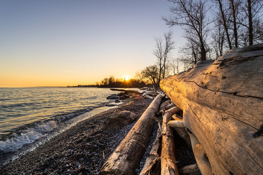 Photo by: Edson Inniss (www.edsoninnissphotography.com)