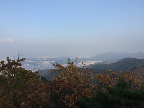 panoramic view of the city