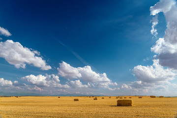 Bales in spanish field Segovia © Rubende Antonio
