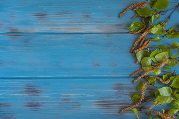 Frame for text with leaves and earrings of birch on a light wooden background. Spring greeting card design with birch branches and leaves. View from above
