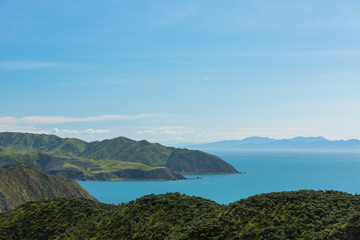 ニュージーランド　ウェリントン近郊のマカラの海岸