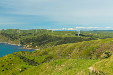 Fototapeta na wymiar ニュージーランド　ウェリントン近郊のマカラの風力発電の風車