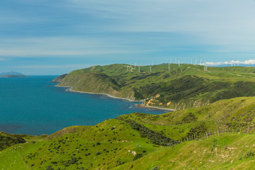 Fototapeta na wymiar ニュージーランド　ウェリントン近郊のマカラの風力発電の風車