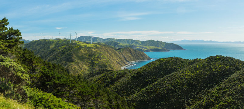ニュージーランド　ウェリントン近郊のマカラの風力発電の風車