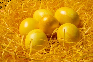 yellow easter eggs on straw background