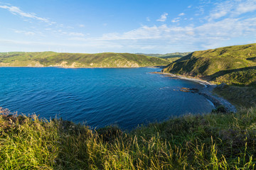 ニュージーランド　ウェリントン近郊のマカラビーチの風景