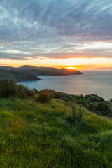 ニュージーランド　ウェリントン近郊のマカラ・ウォークウェイの丘からの夕日