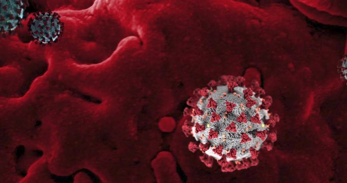 Coronavirus (Covid-19) virus inside blood vessels - medical animation.