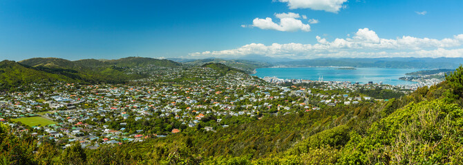 ニュージーランド　ウェリントンのライト・ヒル・フォートレスからの街並みと港