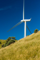 ニュージーランド　ウェリントンのマカラの風力発電の風車
