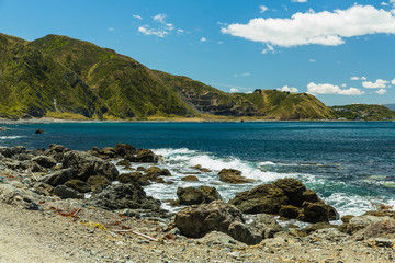 Fototapeta na wymiar ニュージーランド　ウェリントンのレッド・ロックスのビーチ