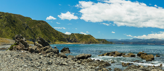 Fototapeta na wymiar ニュージーランド　ウェリントンのレッド・ロックスのビーチ
