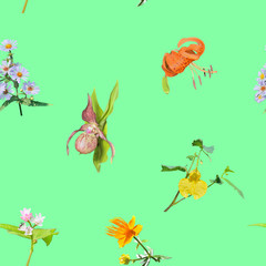 Different wildflowers. Seamless pattern.