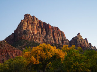 The last rays of the autumn sun illuminate a beautiful red rock mountain in Zion National Park.