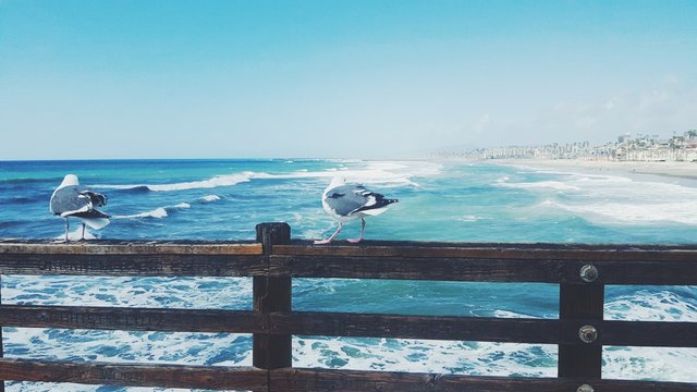 Oceanside