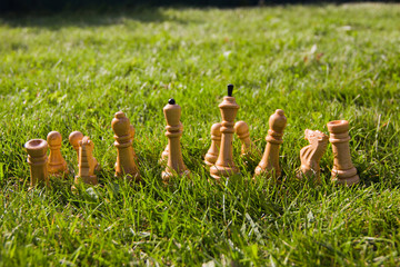 Chess pieces on the lawn on a sunny summer day. Chess game without a chessboard