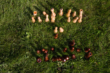 Chess pieces on the lawn on a sunny summer day. Chess game without a chessboard