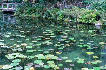 岐阜県の名もなき池