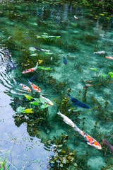 岐阜県の名もなき池