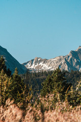 California Yosemite Mountains Nature Wildlife