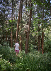 Naklejka na ściany i meble Caucasian men walking and exploring a trek trail in a forest