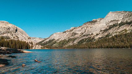 California Yosemite Mountains Nature Wildlife