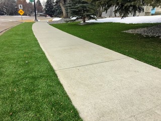 A beautiful artificial lawn in the front yard and boulevard with a nice big tree.  Photo taken in winter, appearance remains bright and natural looking.