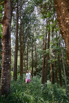 Caucasian men walking and exploring a trek trail in a forest