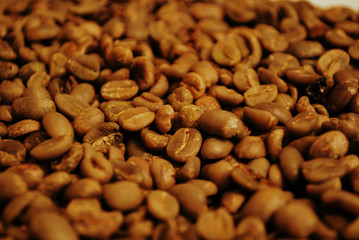 Colombian coffee process with beautiful landscapes