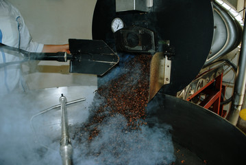 Colombian coffee process with beautiful landscapes