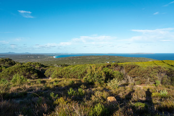 Fototapeta premium Green landscape in the sun