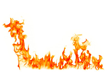 Fire flames burn on a white background.