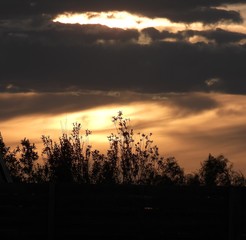 Fototapeta premium Silhouette sunset