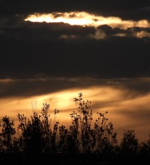 Fototapeta na wymiar Atmospheric sunset