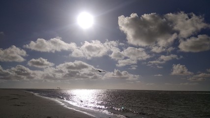 Texel, Netherlands