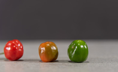Fruits of goat pepper (capsicum chinense) on dark background