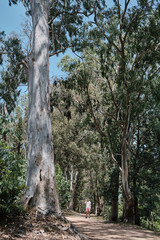 Caucasian men walking and exploring a trek trail in a forest