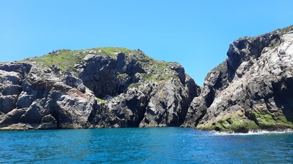 Fototapeta premium rj