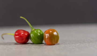 Fruits of goat pepper (capsicum chinense) on dark background