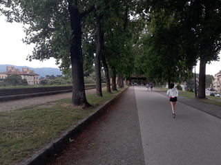 Obraz premium Old town, Lucca Italy