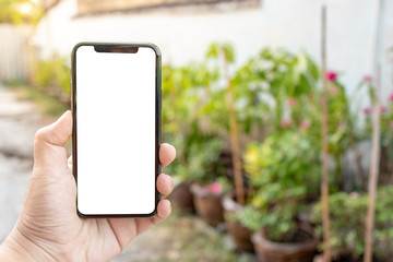 Asian man holding phone mock up left frame at gardent outdoor have environment plant background isolated display for insert screen