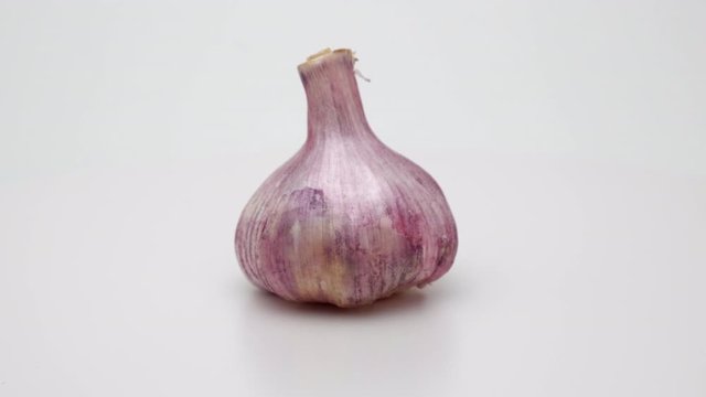 Head garlic 360 rotation. Shot on a white background.