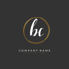 Handwritten initial letter B C BC for identity and logo. Vector logo template with handwriting and signature style.